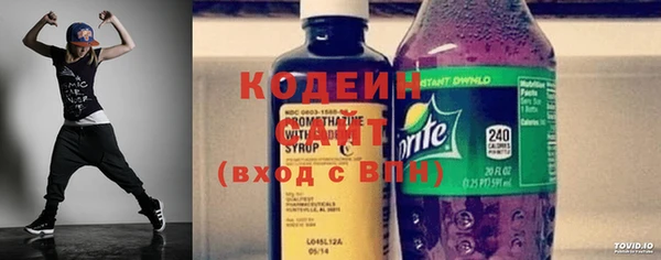 2c-b Бородино