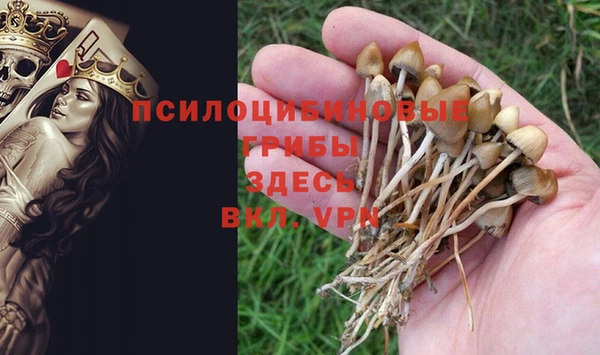 молекула духа Беломорск