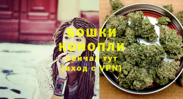 ECSTASY Богородск