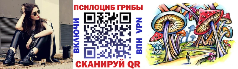 Галлюциногенные грибы ЛСД  Городец 
