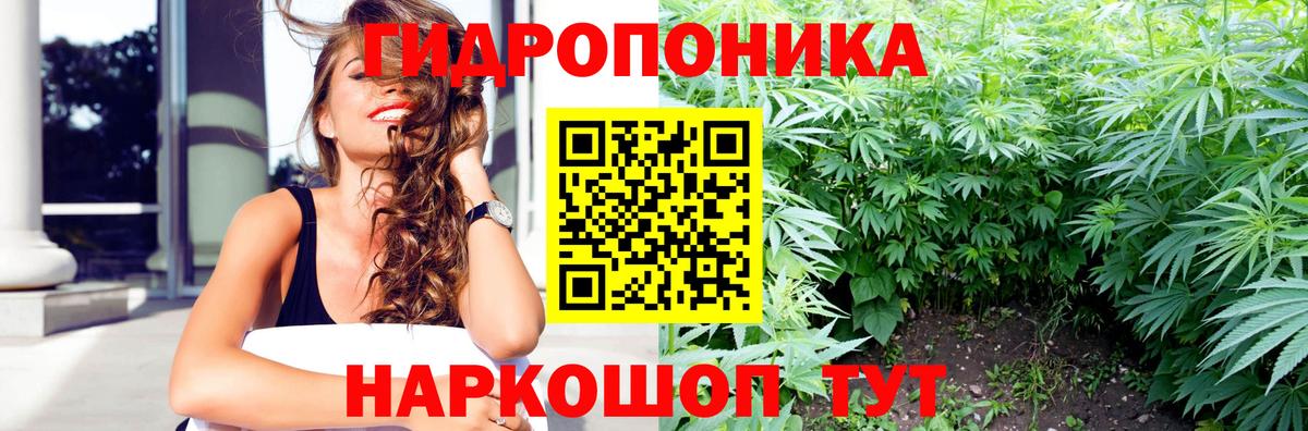 Бошки Шишки гибрид Городец
